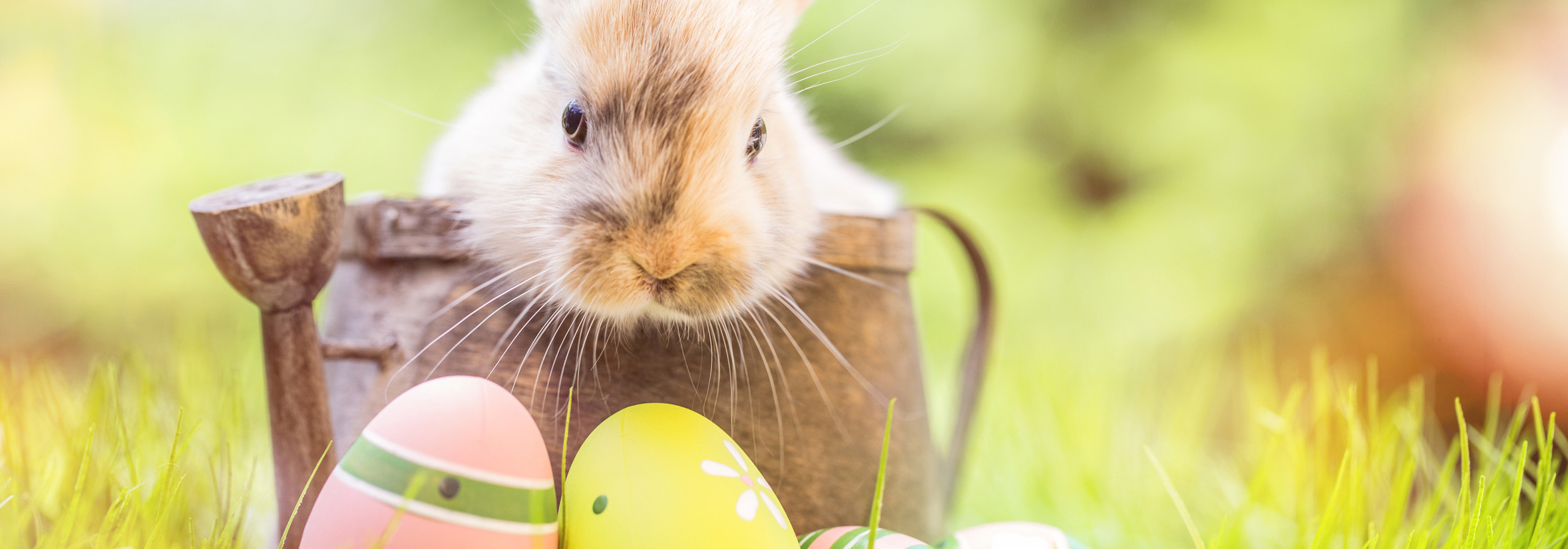 Tradiciones de Pascua en Francia y en el mundo