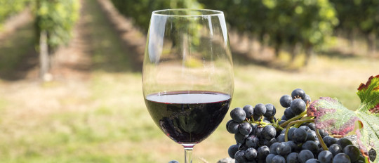 Saber vivir a la francesa: hablar francés alrededor de una copa de vino.