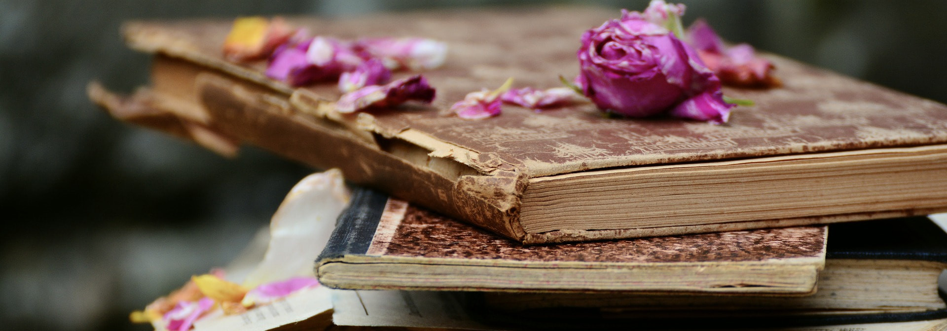 Estudiar francés a través de los libros
