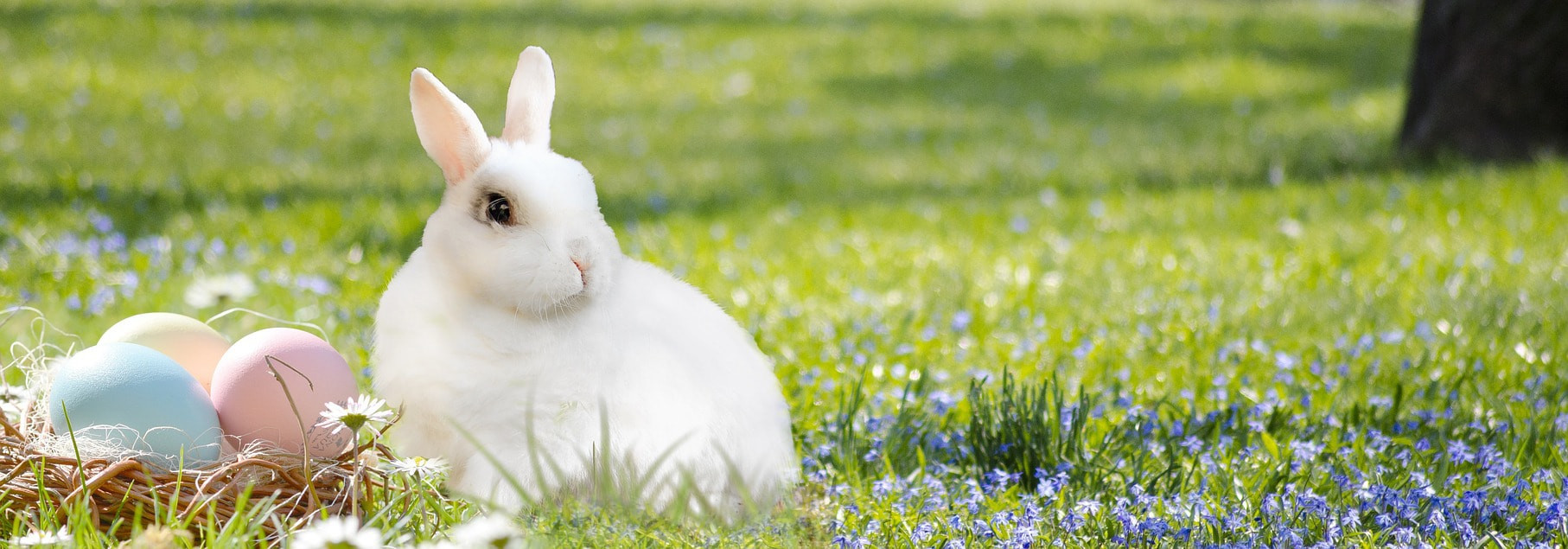 Algunas tradiciones insólitas de pascua