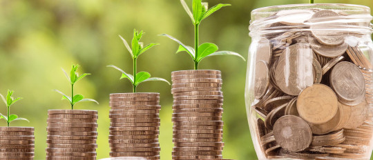 Los franceses y el dinero
