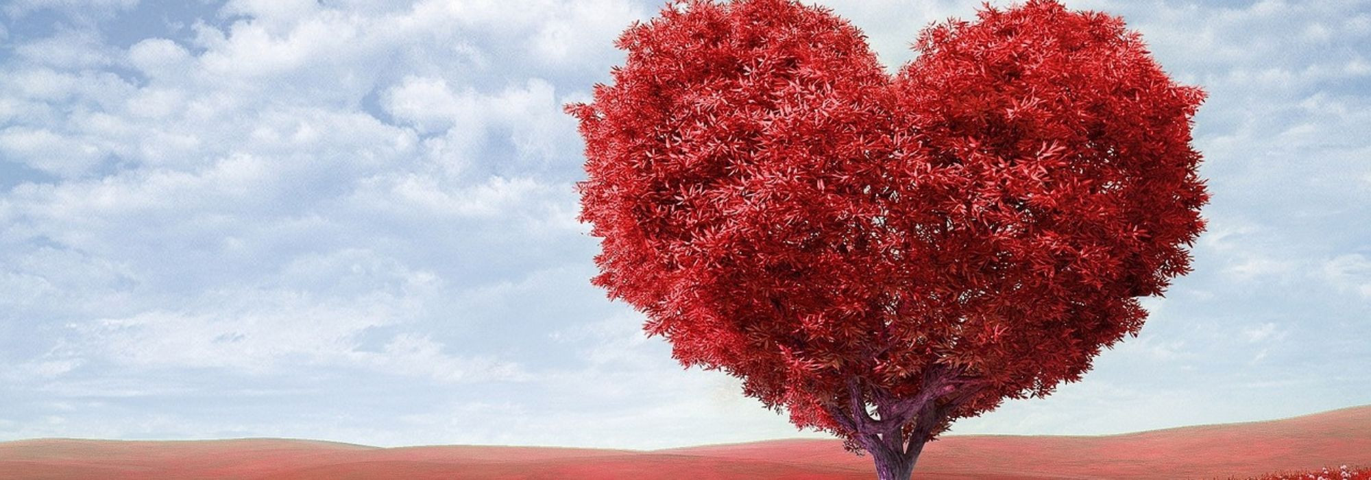 Frases en francés sobre la vida y el amor