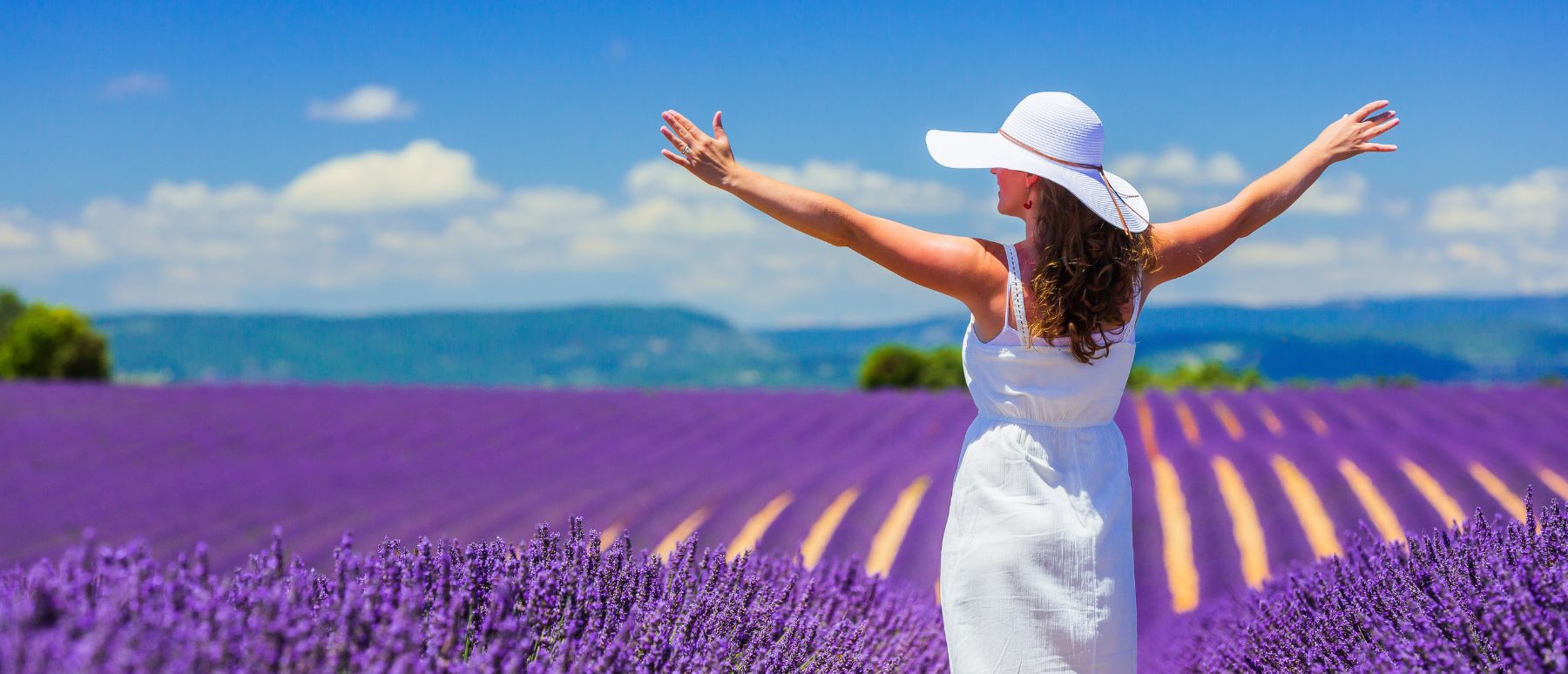 Spring season in french